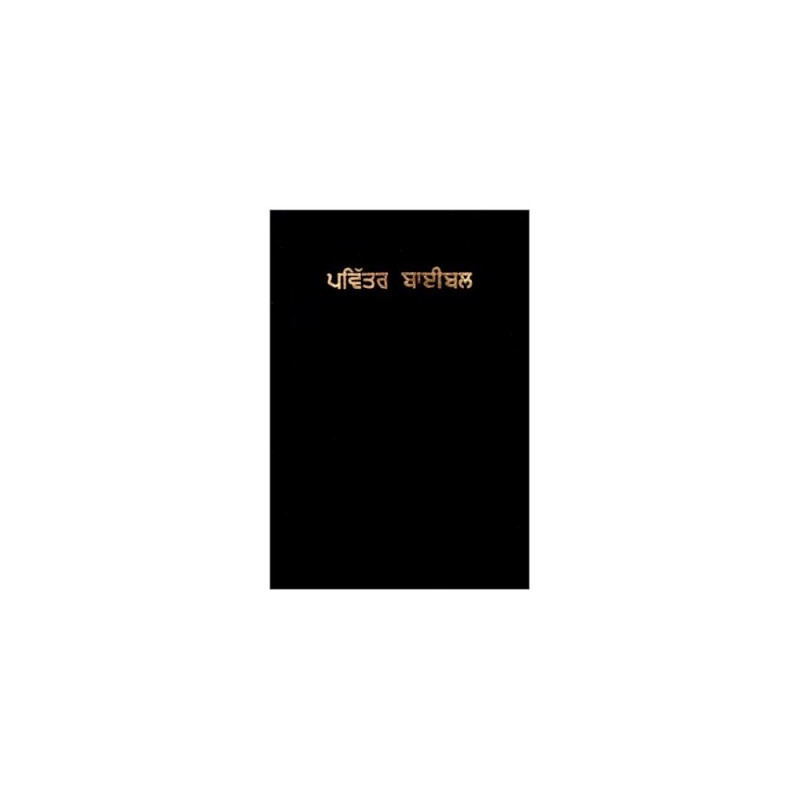 Punjabi Holy Bible