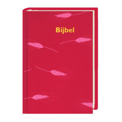 Ολλανδική Αγία Γραφή